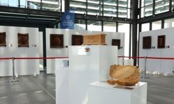 Efeler ve Didim’deki sergiler kapılarını açtı