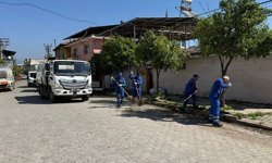 Aydın pırıl pırıl oluyor