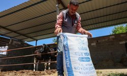Büyükşehir'den Germencik'te küçük üreticilere yem desteği