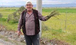 Dağdan topluyor, ihtiyaç sahiplerine dağıtıyor