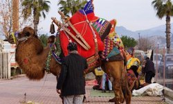 Devecilik kültürü Antalya’da tanıtılacak