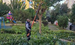 Efeler Belediyesi’nden yeşil seferberlik