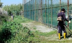 Efeler’in ekiplerinden Kocagür Mahallesi’nde kapsamlı çalışma