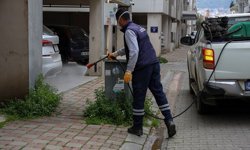 Efeler Belediyesi’nden yabani ot temizliği