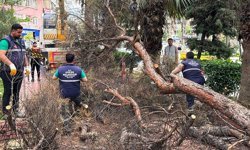 Efeler’de parklar daha güvenli hale geliyor