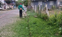 Efeler’de bahar temizliği seferberliği