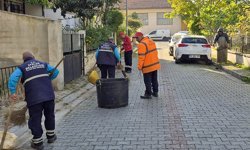 Efeler Belediyesi çalışıyor, kent daha düzenli hale geliyor