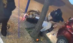 Aydın'da motosiklet sürücüsü ölümden döndü