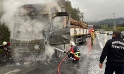 Tomruk yüklü TIR alev topuna döndü