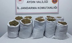 Aydın’da yasaklı madde operasyonu: 2 gözaltı