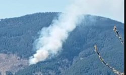 Nazilli'de orman yangını
