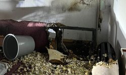 Aydın’da ev yangını: 2 kişi dumandan etkilendi