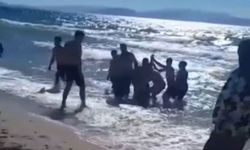 Kuşadası plajında korku dolu anlar