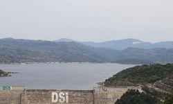 Çine Adnan Menderes Barajı eski günlerine geri döndü
