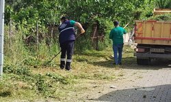 Efeler'de yeşil alanlarda çalışmalar sürüyor