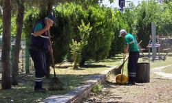 Efeler’in yeşil alanlarında bakım çalışmaları devam ediyor