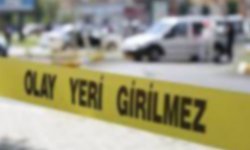 Aydın’da  çapa makinesi faciaya neden oldu