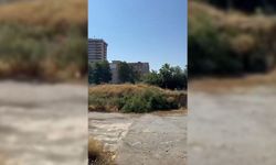 PTT arazisi yeniden gündemde