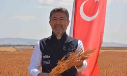 Bakan Yumaklı buğday fiyatları için harekete geçti