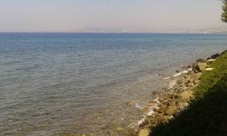 Kuşadası'nda deniz suyu kalitesi yüz güldürdü
