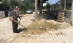 Didim Belediyesi yeşil alanlarda bakım çalışmalarını sürdürüyor