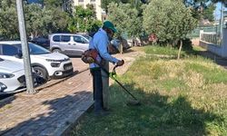 Efeler’in yeşil alanlarında yaz temizliği