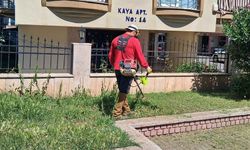 Efeler’in yeşil alanlarında düzenleme çalışmaları sürüyor