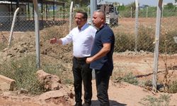 Efeler Belediyesi’nden patili dostlara yeni yaşam alanı