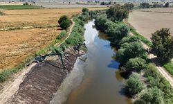 Menderes Nehri'nde ıslah çalışmaları sürüyor