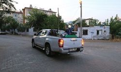 Aydın'da sineklere karşı ilaçlama başladı