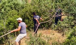Yenipazar’daki yangın kontrol altına alındı