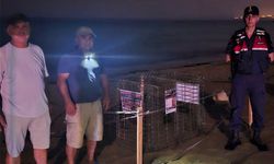 Kuşadası'nda caretta caretta heyecanı