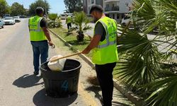 Büyükşehir'den Çeştepe'de park ve yeşil alanlara bakım