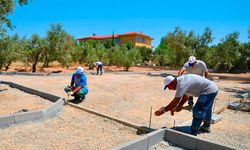 Zeytin Park Projesi hayata geçiyor