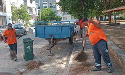 Efeler Belediyesi çalışıyor mahalleler pırıl pırıl oluyor