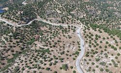 15 yıllık emek meyvesini verdi