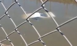 Aydın'da otomobil sulama kanalına uçtu