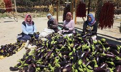 Nazilli’nin kurutmalık ürünleri dünyayı dolaşıyor