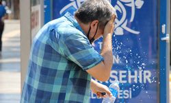 Aydın'da sıcaklık zirve yapacak