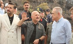 Vali Varol, yangın bölgesinde