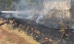 Aydın’da zeytinlik alanda  yangın