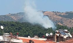 Mesire alanında yangın