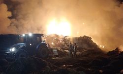 Saman balyaları alev topuna döndü
