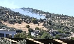 Aydın’da zeytinlik alanda yangın