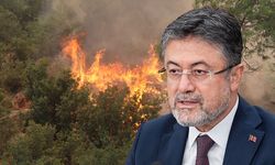 Bakan Yumaklı Çine’deki yangının son durumunu açıkladı
