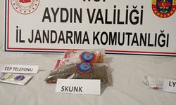 Muğla'dan Aydın'a zehir sevkiyatına jandarma engeli