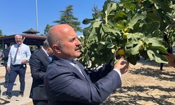 Aydın'a 100 milyonluk yatırım