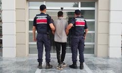 Aydın'da incir hırsızına suçüstü