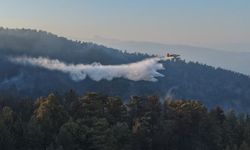 Kuyucak'taki yangına müdahale sürüyor