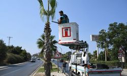 Daha yeşil bir Kuşadası için çalışmalar sürüyor